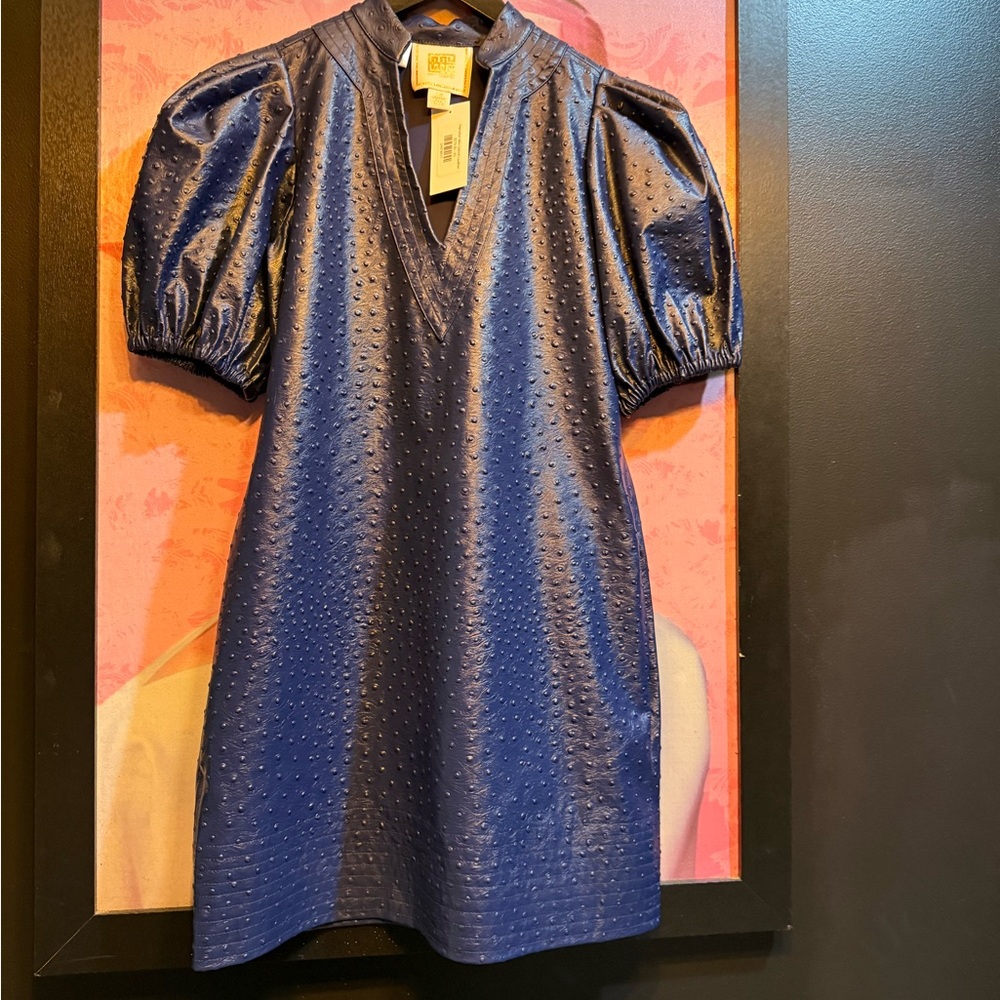 Emily McCarthy Hampton Mini Size: XS NWT
